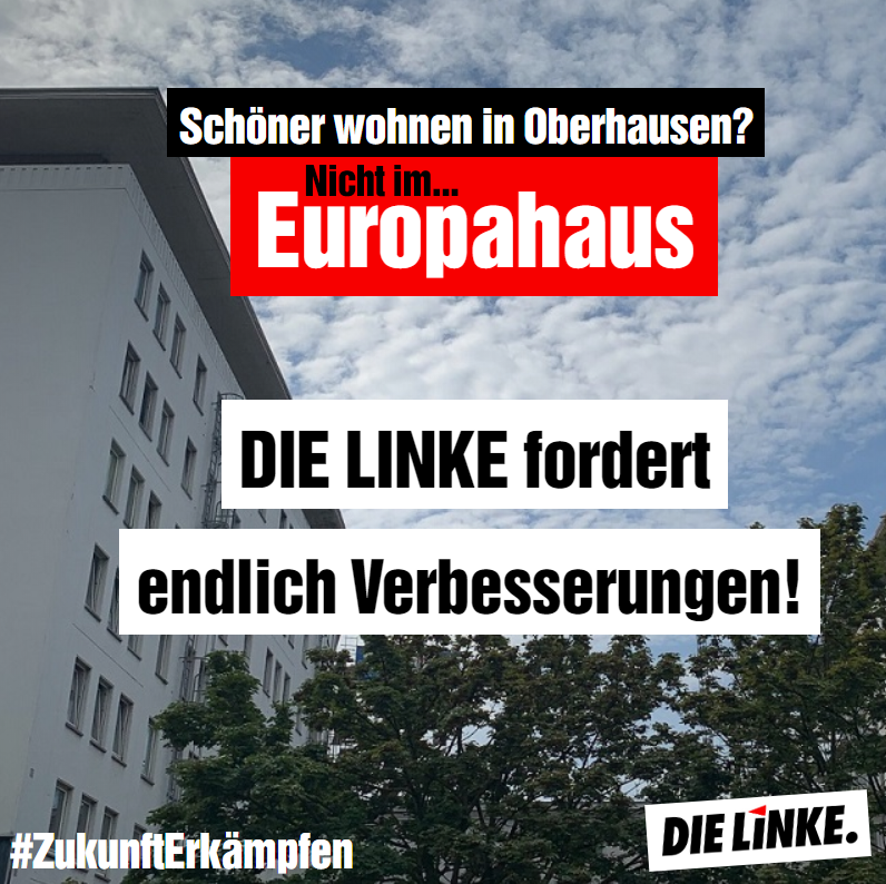 Europahaus: DIE LINKE fordert endlich Verbesserungen