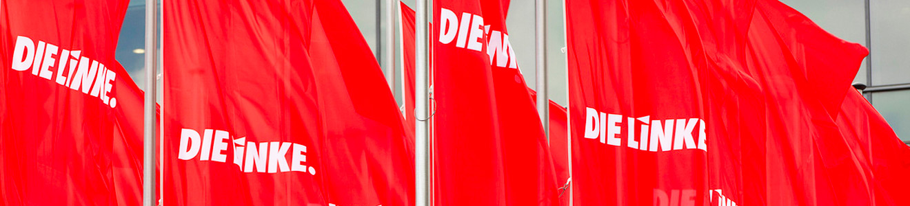 DIE LINKE Fahnen